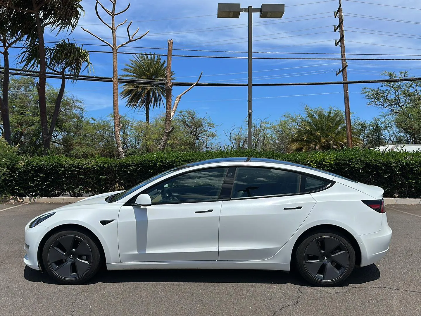 Used 2021 Tesla Model 3 Base with VIN 5YJ3E1EA8MF982518 for sale in Kahului, HI