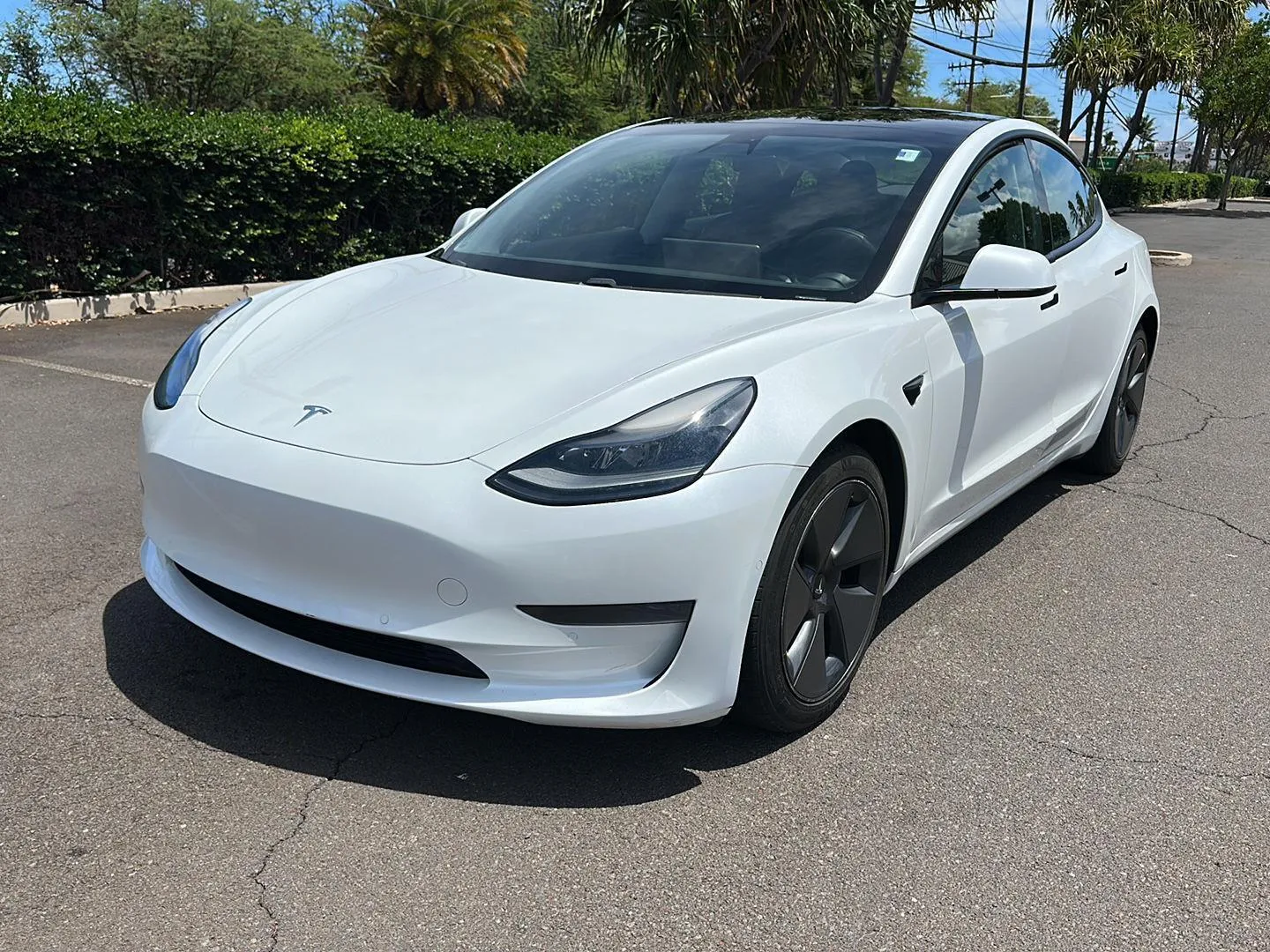 White 2021 Tesla Model 3 Standard Range Plus for sale in Kahului, HI