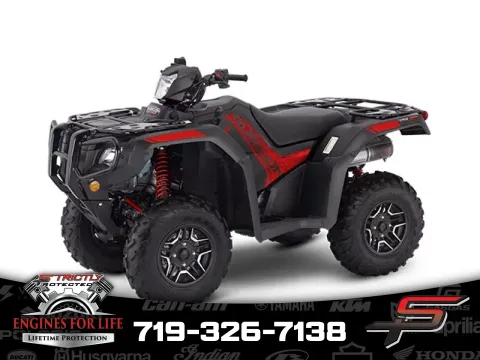 Gray 2024 Honda FourTrax Foreman Rubicon 4x4 Automatic DCT EPS Deluxe for sale in Pueblo West, CO