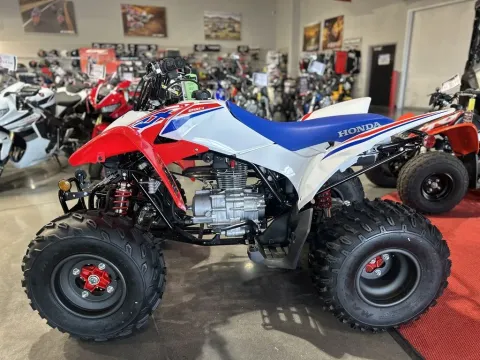 More photos of 2025 Honda TRX250X at Strictly Powersports, CO
