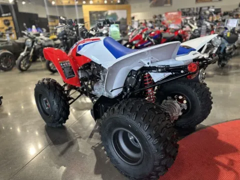 More photos of 2025 Honda TRX250X at Strictly Powersports, CO