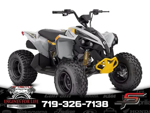 Gray 2025 Can-Am Renegade 110 EFI for sale in Pueblo West, CO