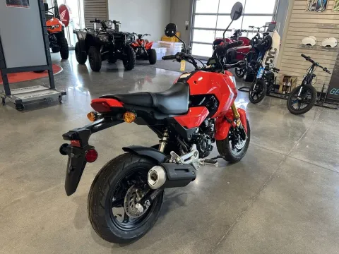 Photos of 2025 Honda Grom for sale in Pueblo West, CO at Strictly Powersports