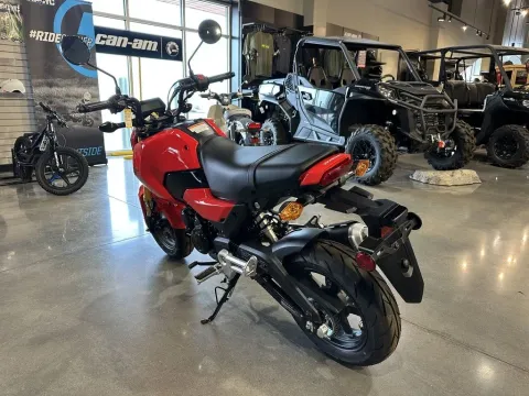 More photos of 2025 Honda Grom at Strictly Powersports, CO
