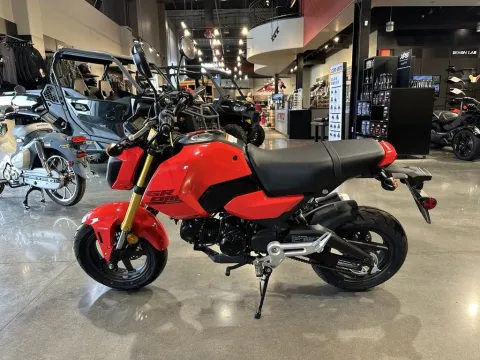 More photos of 2025 Honda Grom at Strictly Powersports, CO
