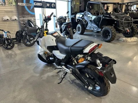 More photos of 2025 Honda Grom at Strictly Powersports, CO