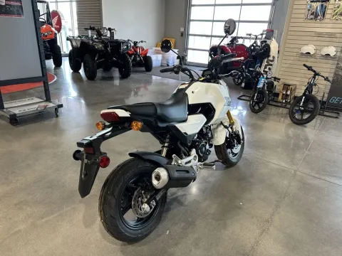 Photos of 2025 Honda Grom for sale in Pueblo West, CO at Strictly Powersports