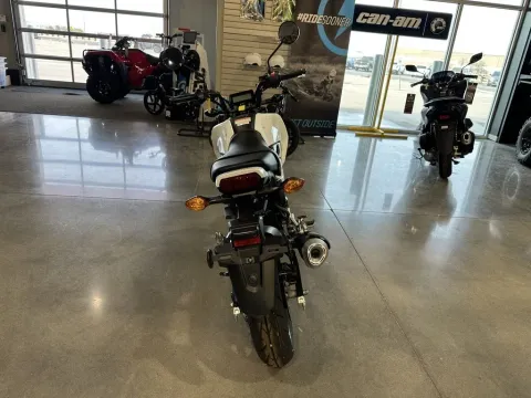 Another view of 2025 Honda Grom for sale in Pueblo West, CO at Strictly Powersports