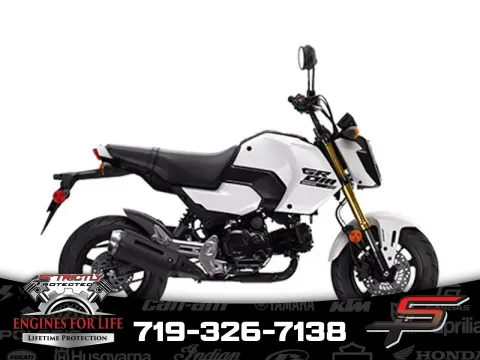 White 2025 Honda Grom ABS for sale in Pueblo West, CO