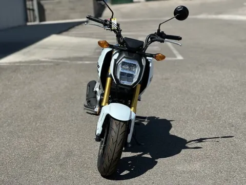 Photos of 2025 Honda Grom ABS for sale in Pueblo West, CO at Strictly Powersports