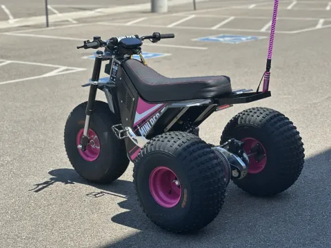 More photos of 2025 MINI Mini RCR-T3 Pink at Strictly Powersports, CO