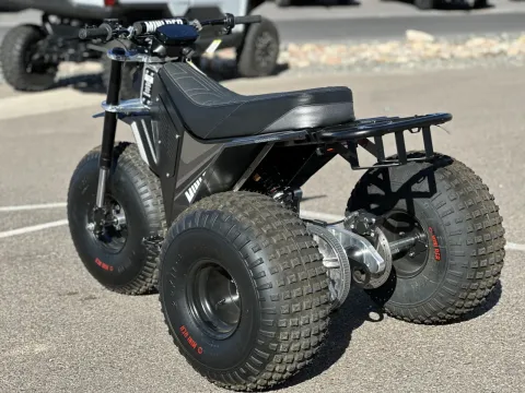 More photos of 2025 MINI RCR-T3 Black at Strictly Powersports, CO