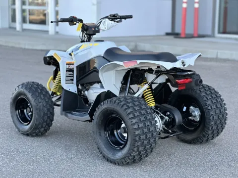 More photos of 2026 Can-Am Renegade 110 EFI at Strictly Powersports, CO