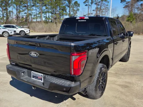 More photos of 2024 Ford F-150 Platinum at Hixson Chevrolet of DeRidder, LA