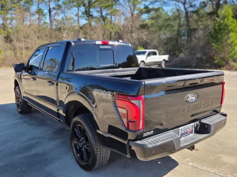 Another view of 2024 Ford F-150 Platinum for sale in DeRidder, LA at Hixson Chevrolet of DeRidder