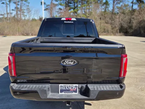 More photos of 2024 Ford F-150 Platinum at Hixson Chevrolet of DeRidder, LA
