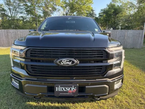 Photos of 2024 Ford F-150 Platinum for sale in DeRidder, LA at Hixson Chevrolet of DeRidder