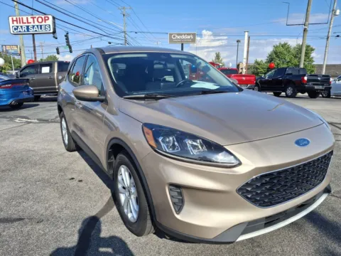 Gold 2020 FORD ESCAPE SE for sale in Knoxville, TN
