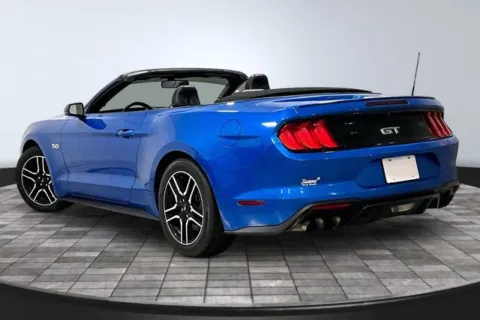 More photos of 2019 Ford Mustang GT Premium at Southwest Auto Sales, IN