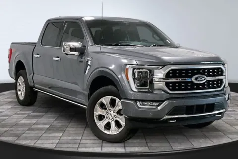 Gray 2021 Ford F-150 Platinum for sale in Roanoke, IN