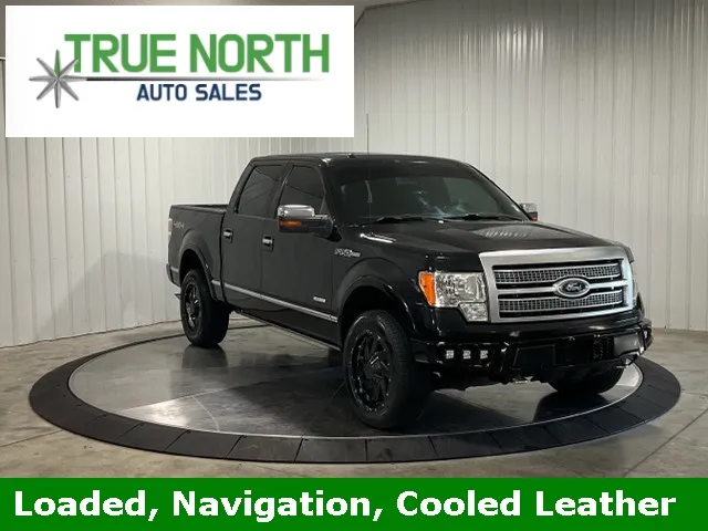 Black 2012 Ford F-150 Platinum for sale in Fort Wayne, IN