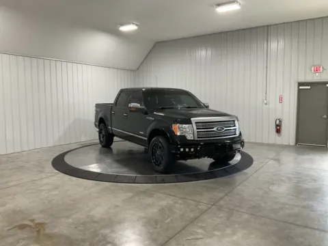 Photos of 2012 Ford F-150 Platinum for sale in Fort Wayne, IN at True North Auto Sales