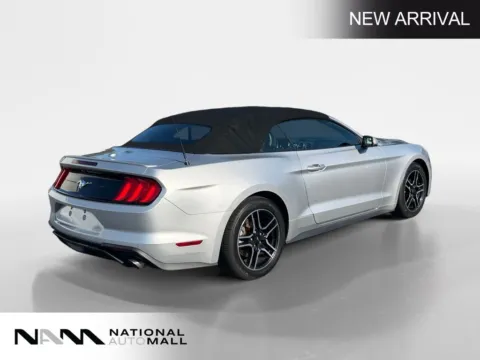 More photos of 2019 Ford Mustang EcoBoost Premium at National Auto Mall, FL
