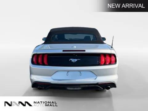 More photos of 2019 Ford Mustang EcoBoost Premium at National Auto Mall, FL