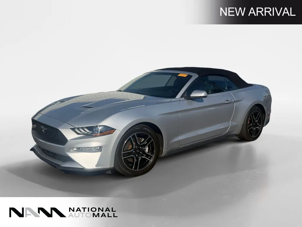 Silver 2019 Ford Mustang EcoBoost Premium for sale in Merritt Island, FL