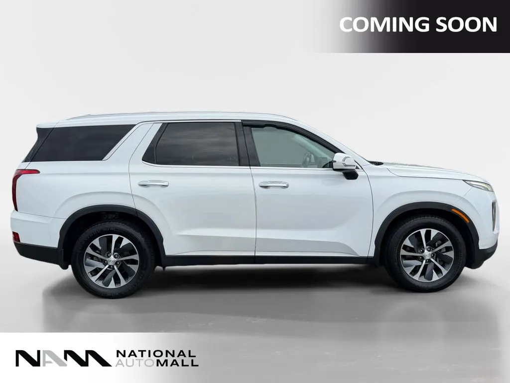 2020 Hyundai Palisade SEL - Photo 6