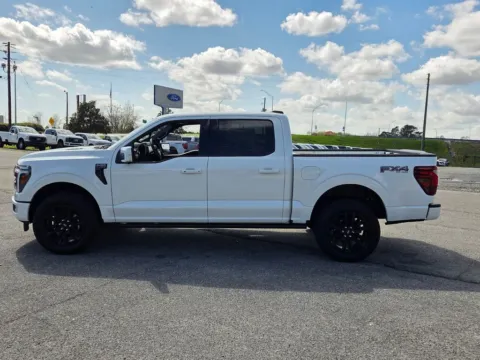 More photos of 2025 Ford F-150 Platinum at Brannen Motor Company, GA