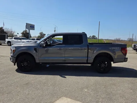 Another view of 2025 Ford F-150 Platinum for sale in Unadilla, GA at Brannen Motor Company