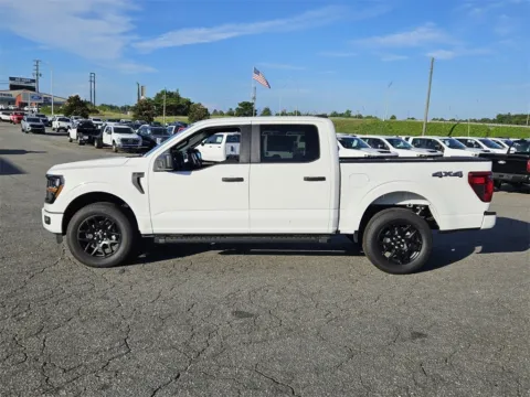 More photos of 2025 Ford F-150 STX at Brannen Motor Company, GA