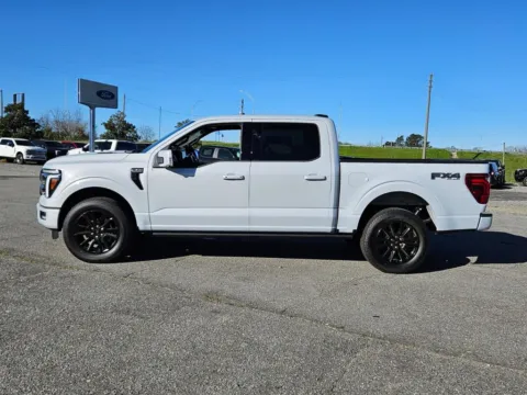 More photos of 2025 Ford F-150 Platinum at Brannen Motor Company, GA