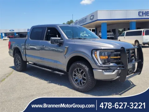 Gray 2023 Ford F-150 Tremor for sale in Unadilla, GA
