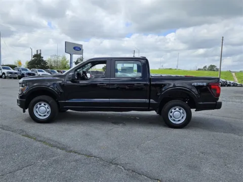 More photos of 2025 Ford F-150 XL at Brannen Motor Company, GA