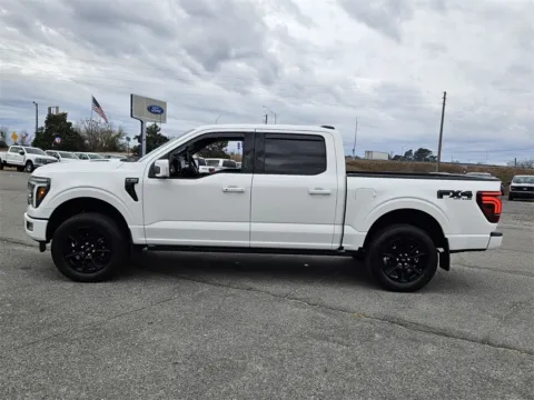 More photos of 2024 Ford F-150 Platinum at Brannen Chevrolet, GA