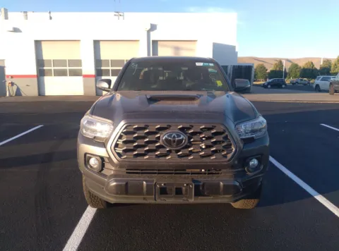 Photos of 2023 Toyota Tacoma TRD Sport for sale in Union Gap, WA at Toyota of Yakima