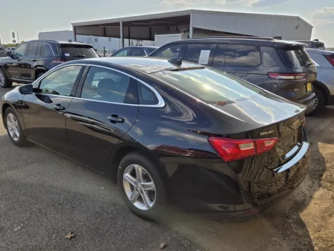More photos of 2024 Chevrolet Malibu LT at Nottingham Chrysler Dodge Jeep Ram of Sulphur Springs, TX