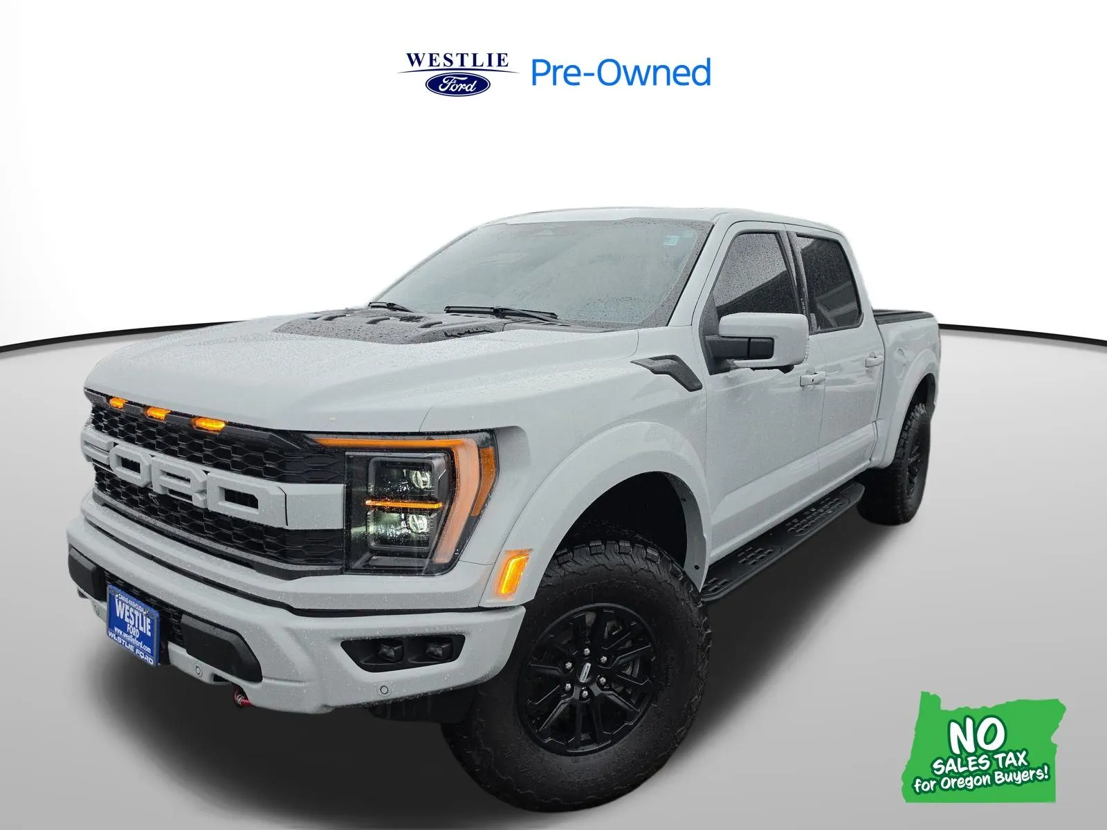 Gray 2023 Ford F-150 Raptor for sale in Washougal, WA