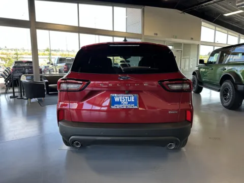 More photos of 2025 Ford Escape ST-Line Select at Westlie Ford, WA
