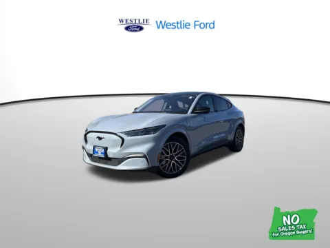 Gray 2025 Ford Mustang Mach-E Premium for sale in Washougal, WA