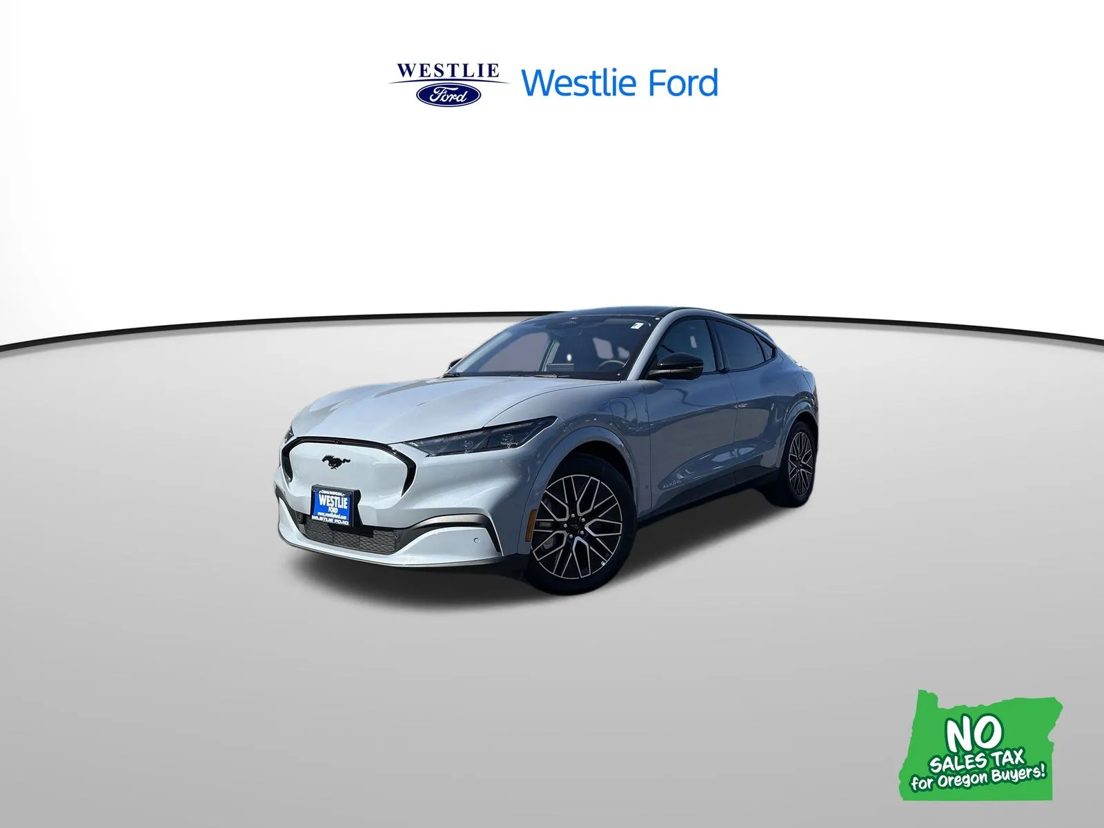 Gray 2025 Ford Mustang Mach-E Premium for sale in Washougal, WA