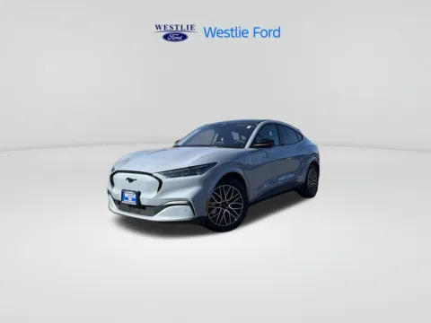 Gray 2025 Ford Mustang Mach-E Premium for sale in Washougal, WA