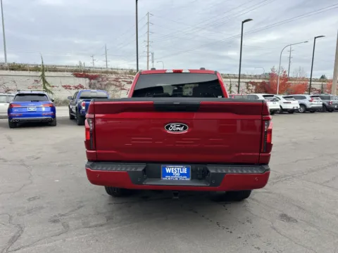 More photos of 2025 Ford F-150 STX at Westlie Ford, WA
