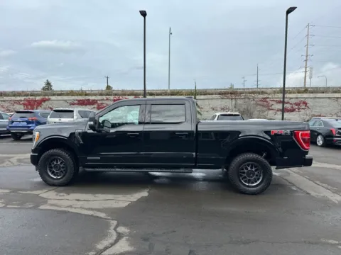 Photos of 2023 Ford F-150 XLT for sale in Washougal, WA at Westlie Ford