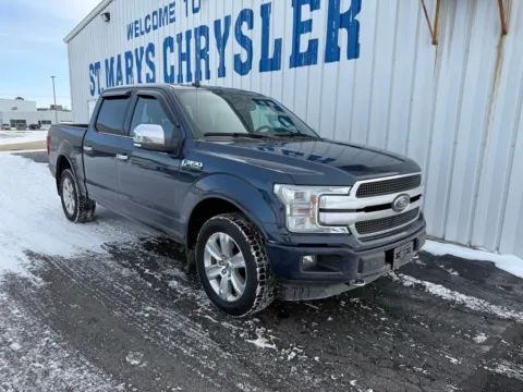 Blue 2020 Ford F-150 Platinum for sale in Saint Marys, OH