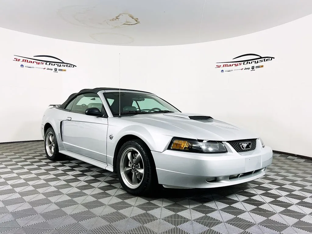 2004 Ford Mustang Mach 1's photo