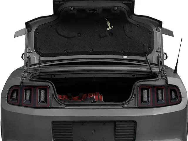 Ford Mustang photo 12