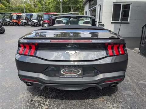 More photos of 2024 Ford Mustang EcoBoost Premium Convertible at Gahanna Auto Sales, OH